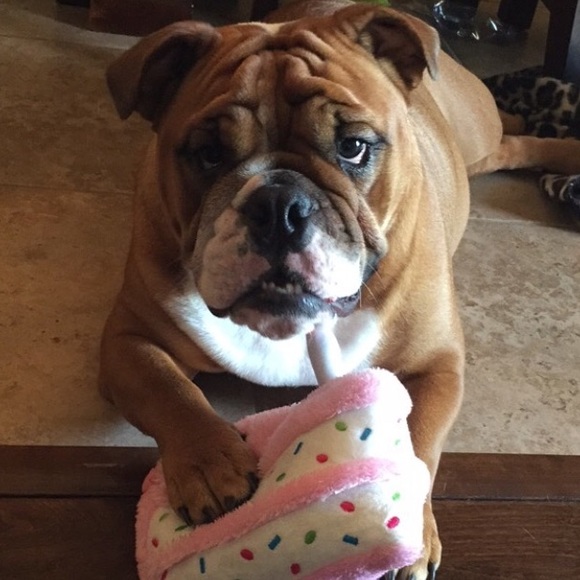 Meet your Posher, Renee - Picture 1 of 1